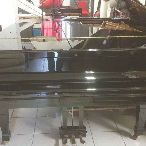 Occasion, Kawai, RX-2