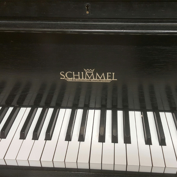 Occasion, Schimmel, W 206 Tradition