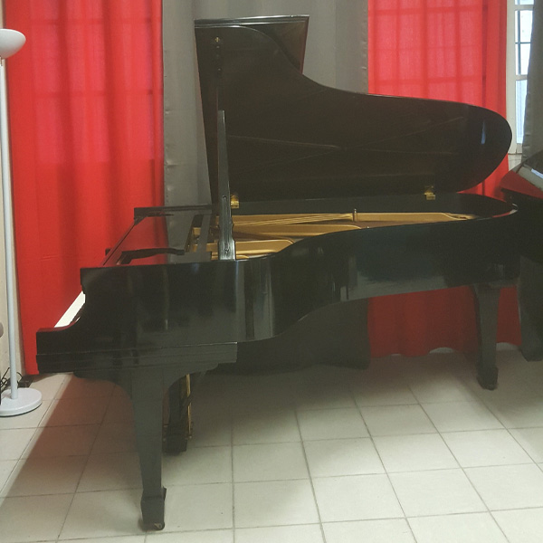 Occasion, Steinway & Sons, B-211